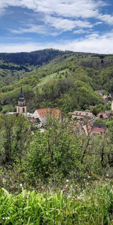 Gite A Andlau Zewnętrze zdjęcie